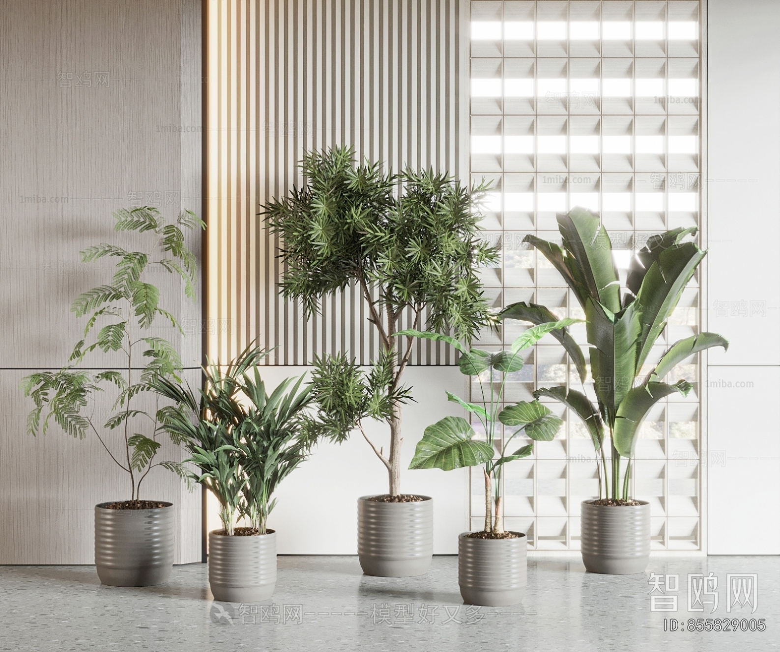 Modern Ground Green Plant Potted Plants