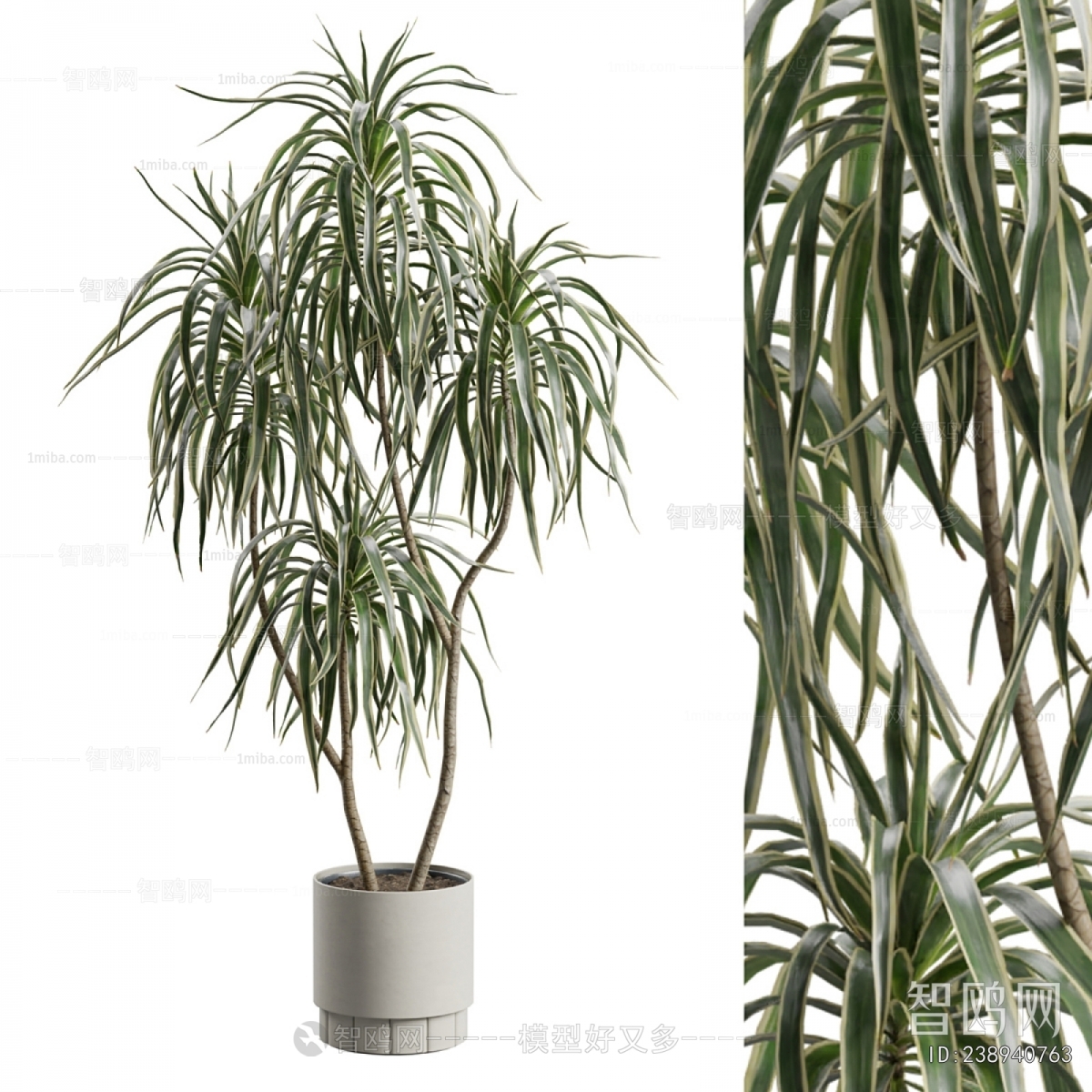 Modern Ground Green Plant Potted Plants