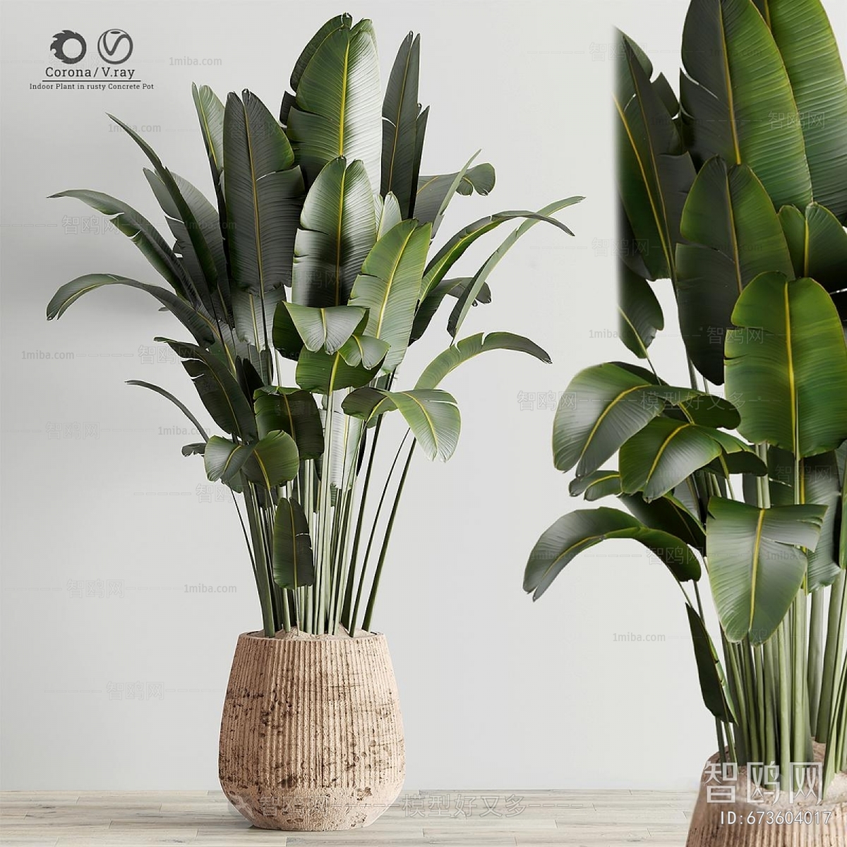 Modern Ground Green Plant Potted Plants