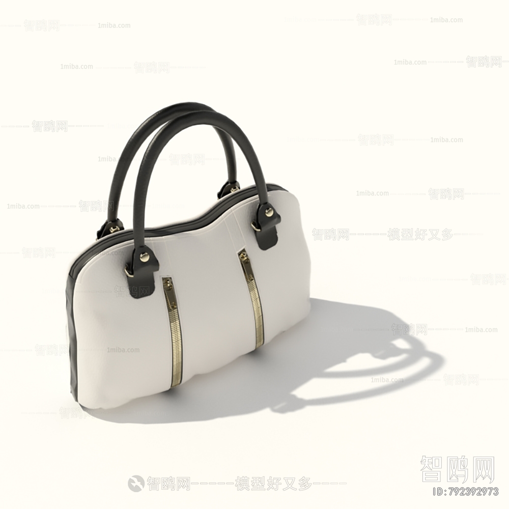Modern Lady's Bag