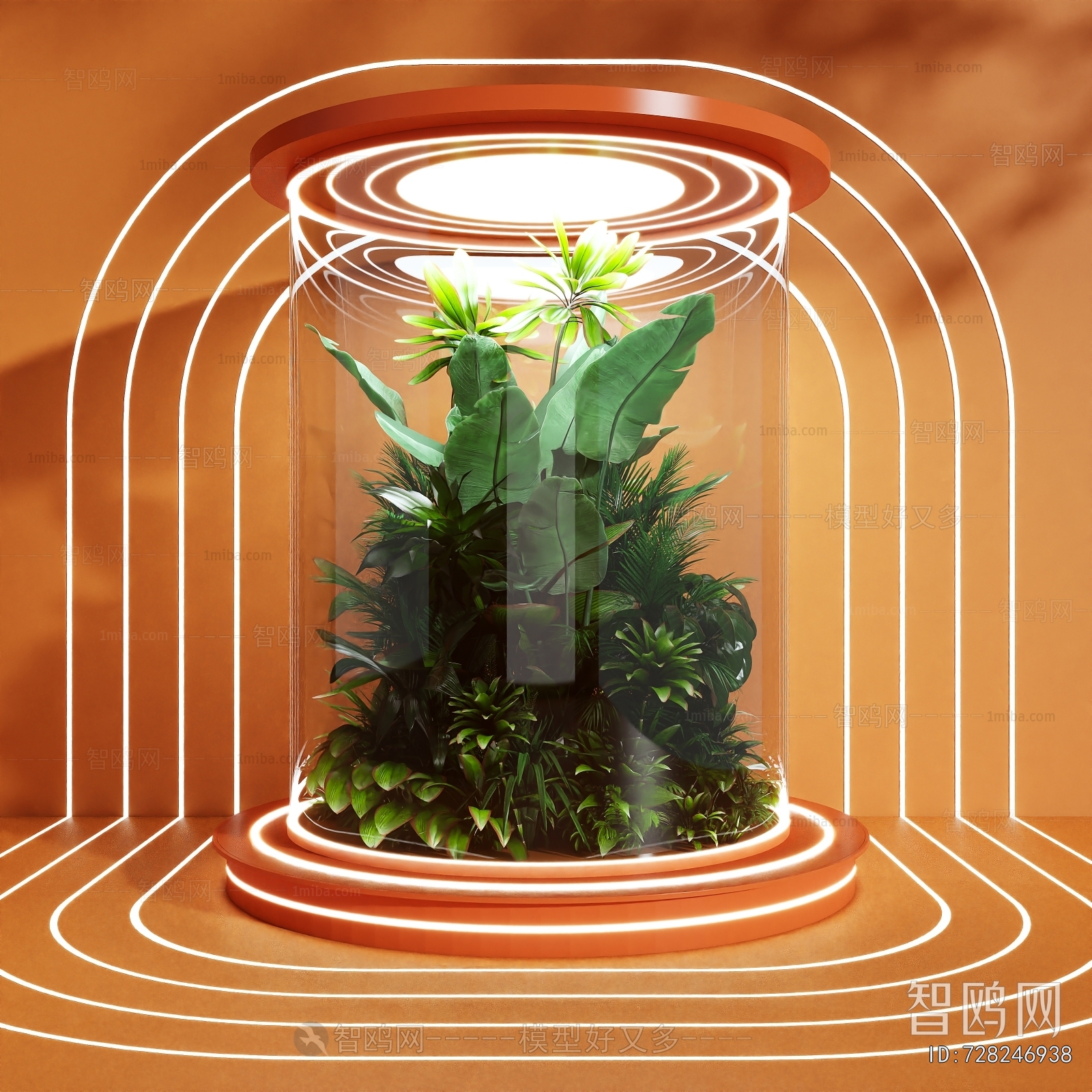 Modern Plant Landscaping