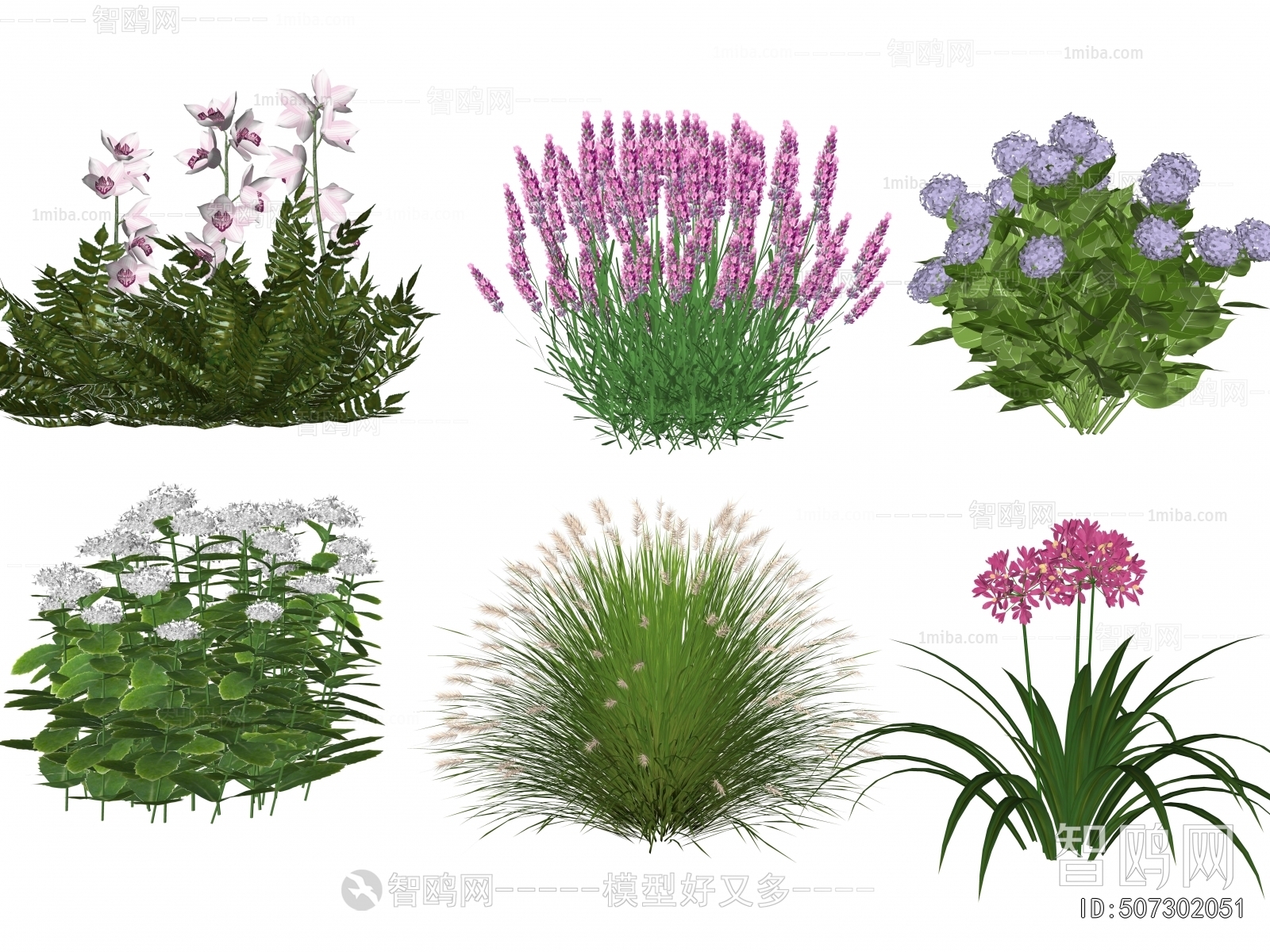 Modern Flowers And Grass