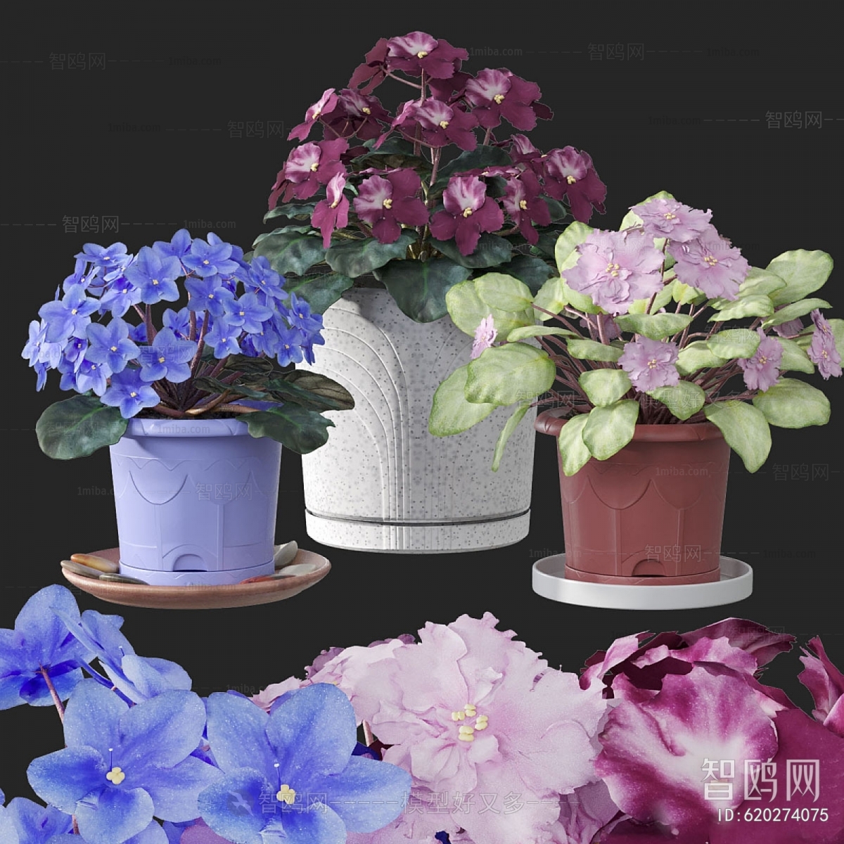 Modern Potted Green Plant