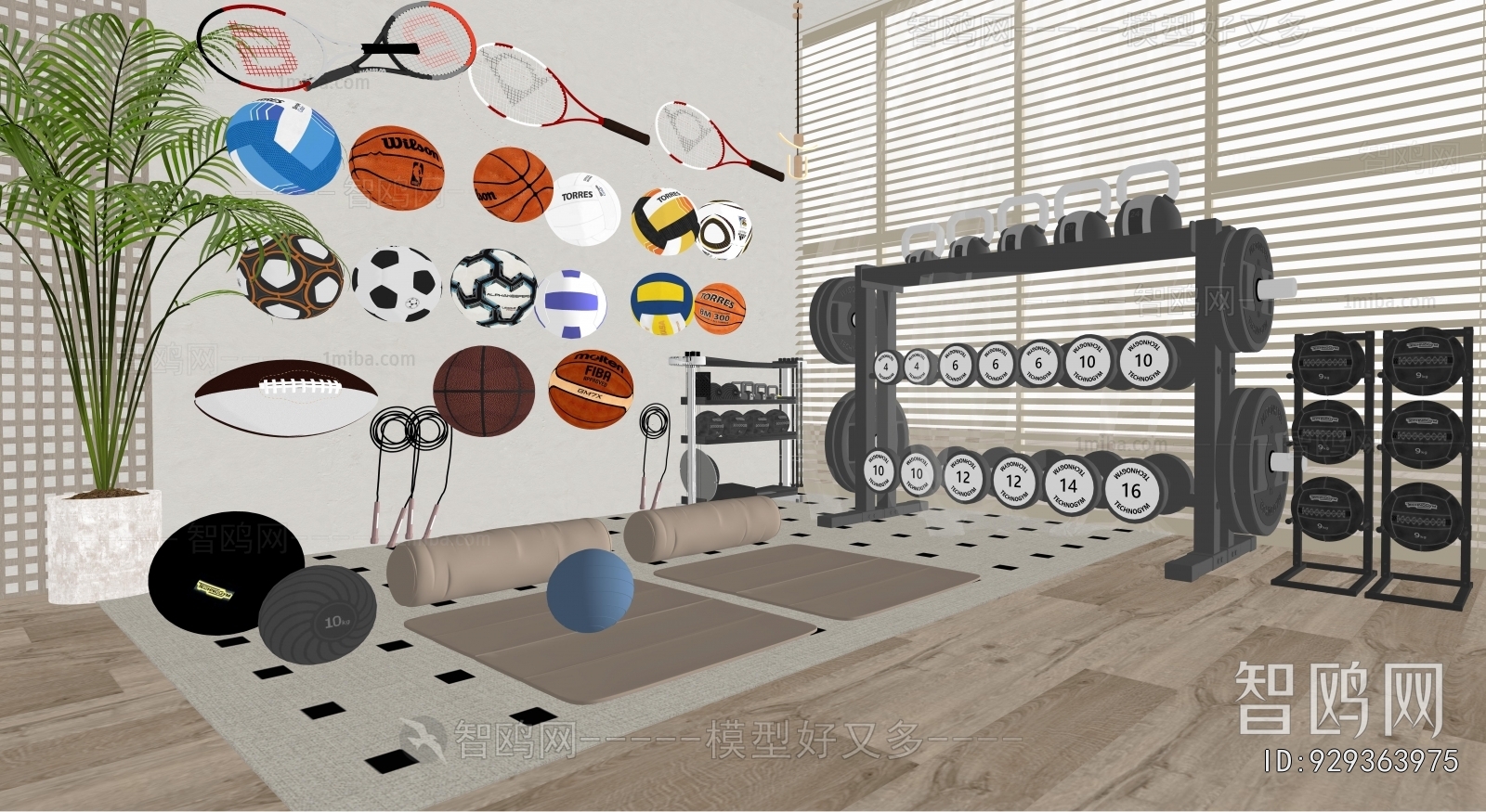 Modern Fitness Equipment