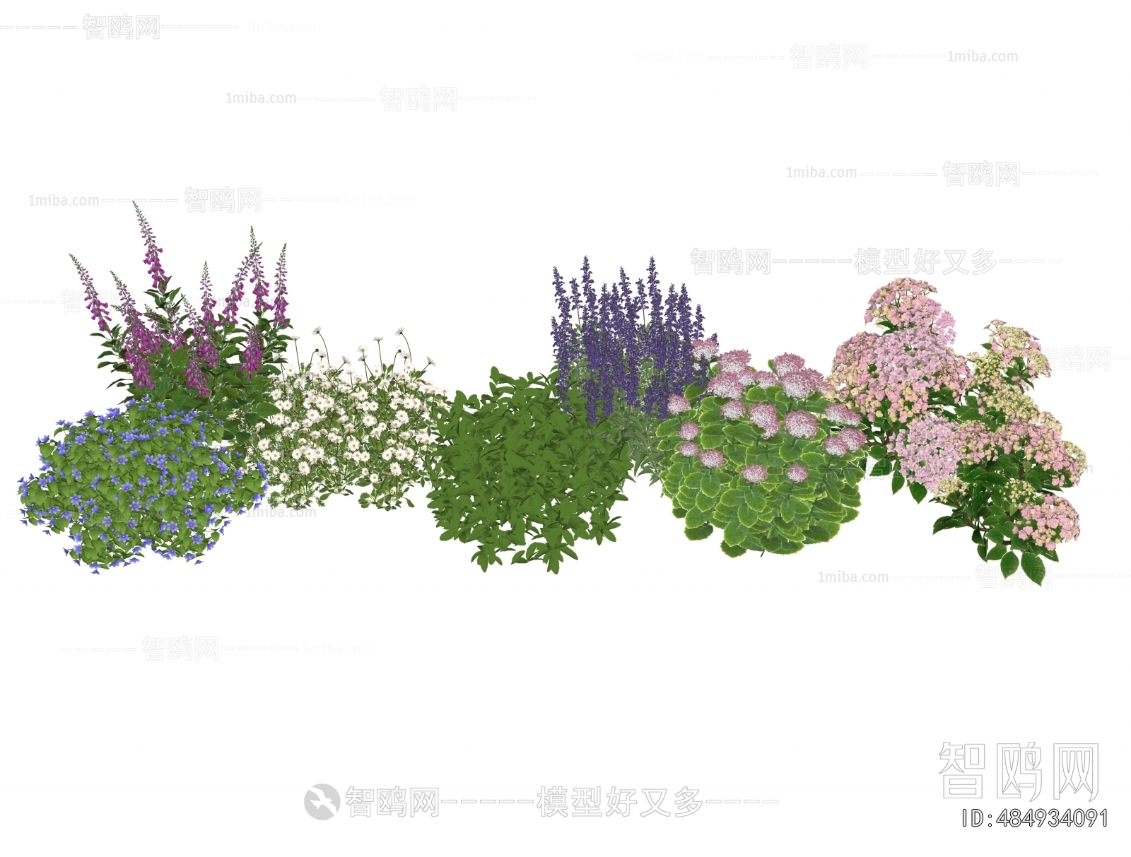 Modern Flowers And Grass