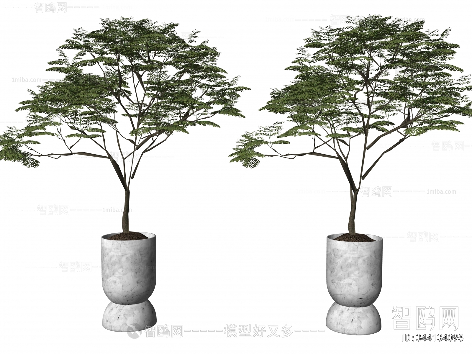 Modern Ground Green Plant Potted Plants