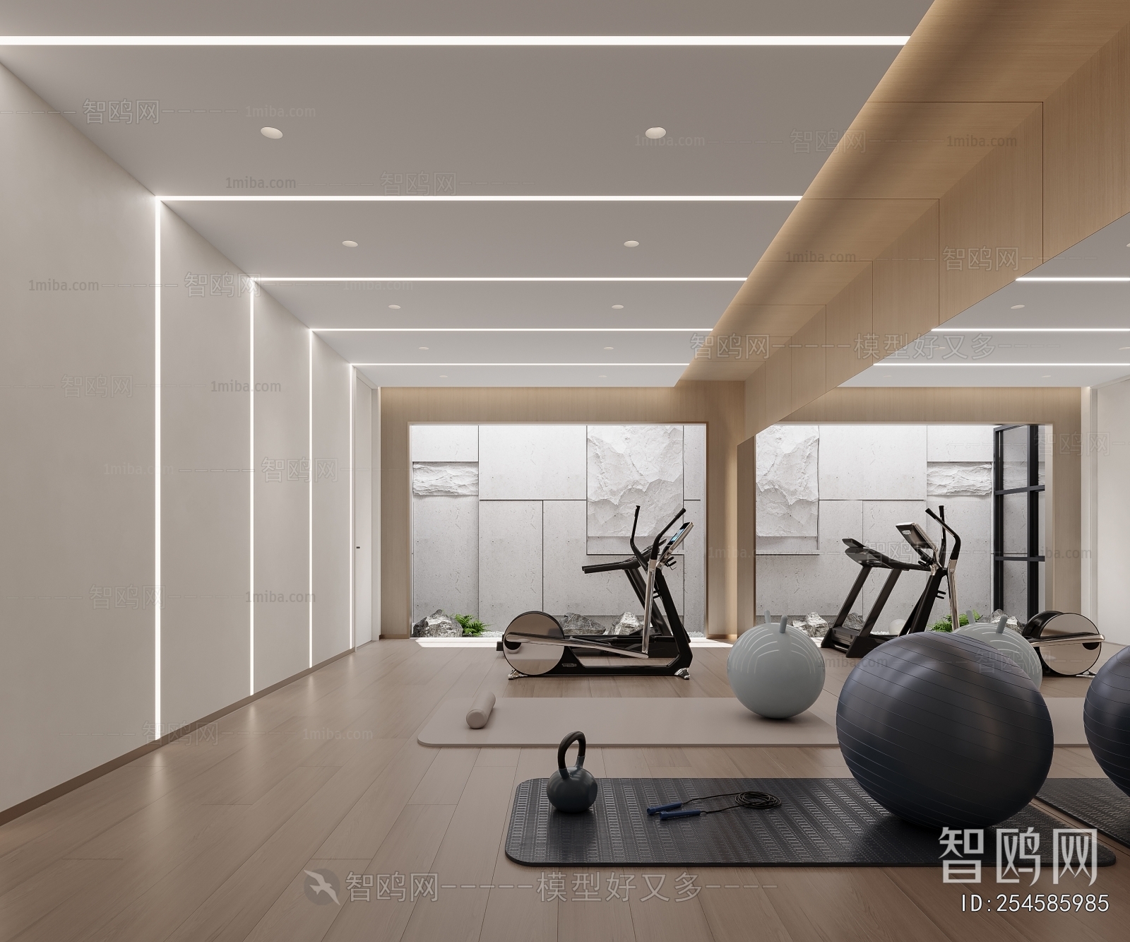 Modern Home Fitness Room
