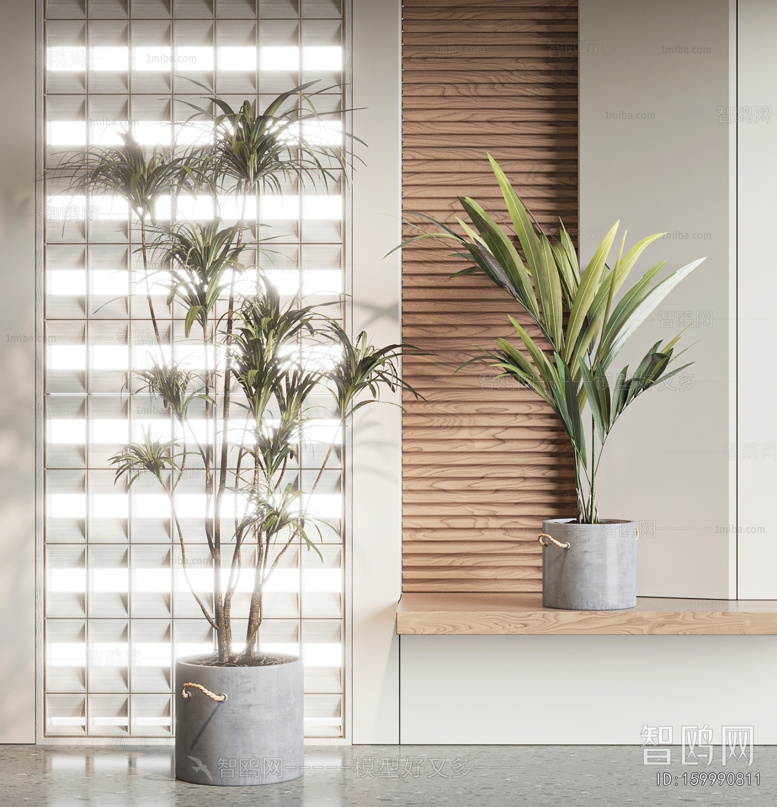 Modern Ground Green Plant Potted Plants