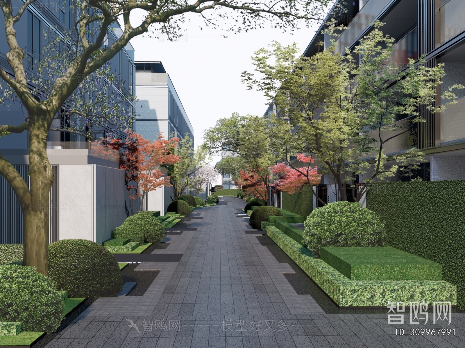 Modern Residential Building