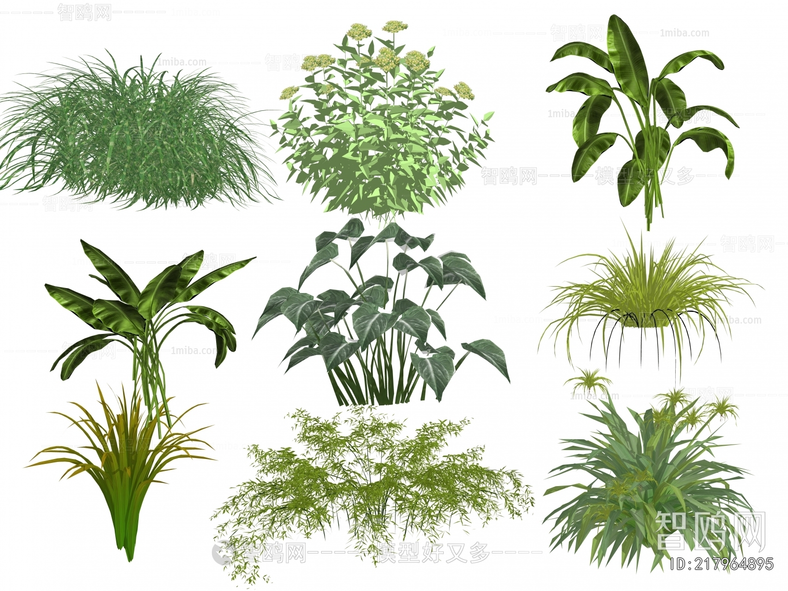 Modern Flowers And Grass