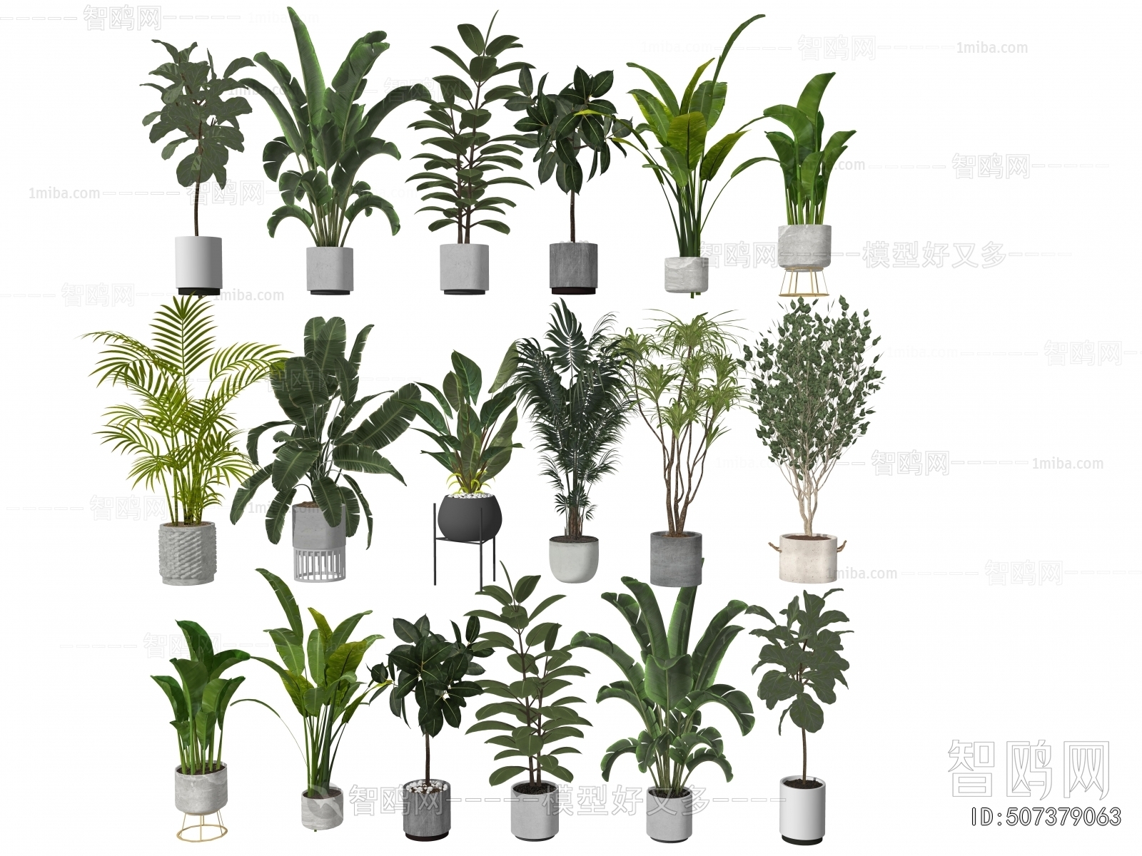 Modern Ground Green Plant Potted Plants