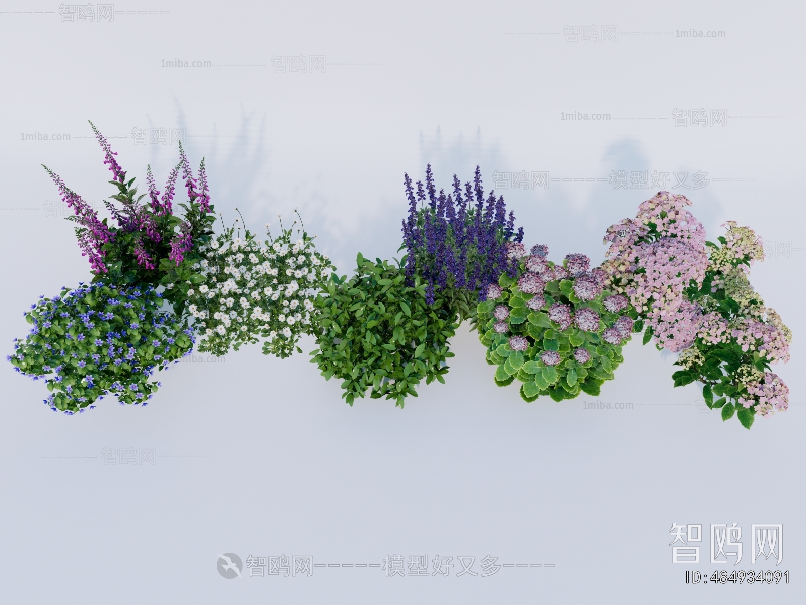 Modern Flowers And Grass