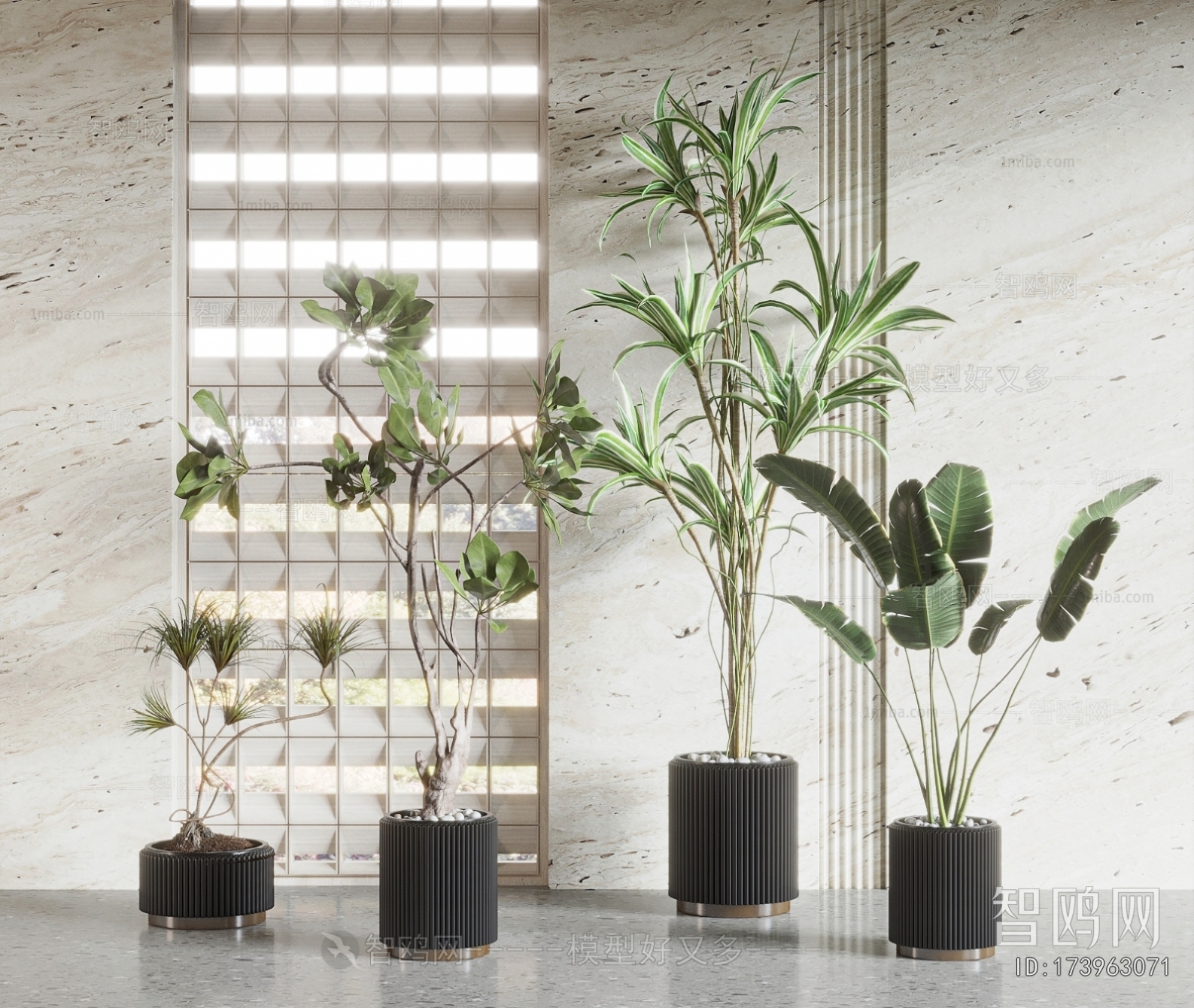 Modern Ground Green Plant Potted Plants