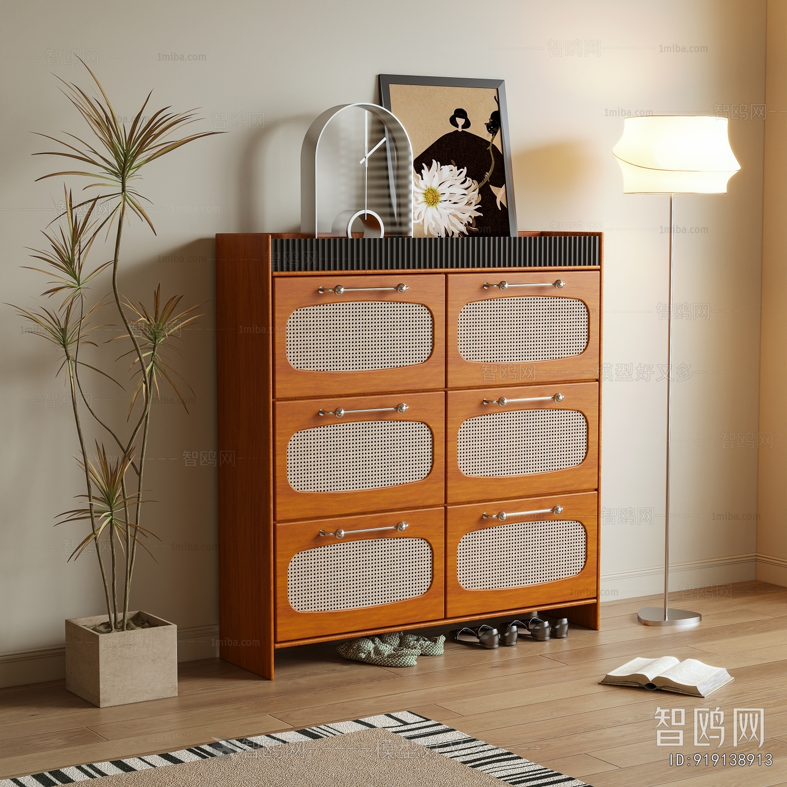 Modern Shoe Cabinet