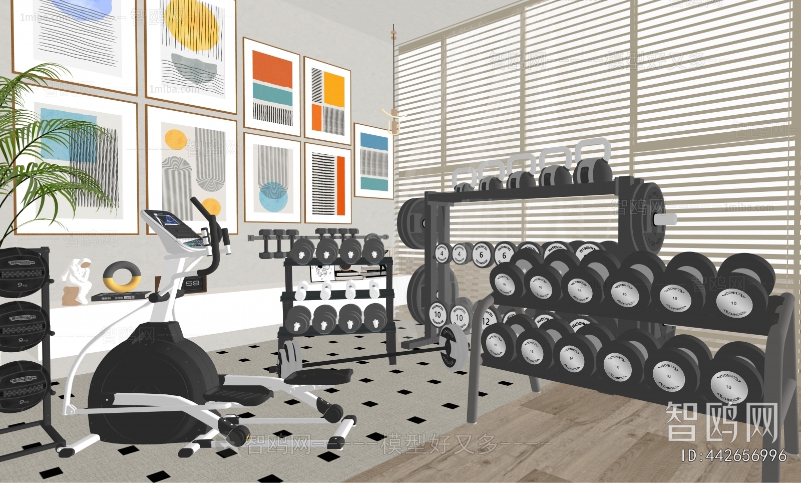 Modern Fitness Equipment