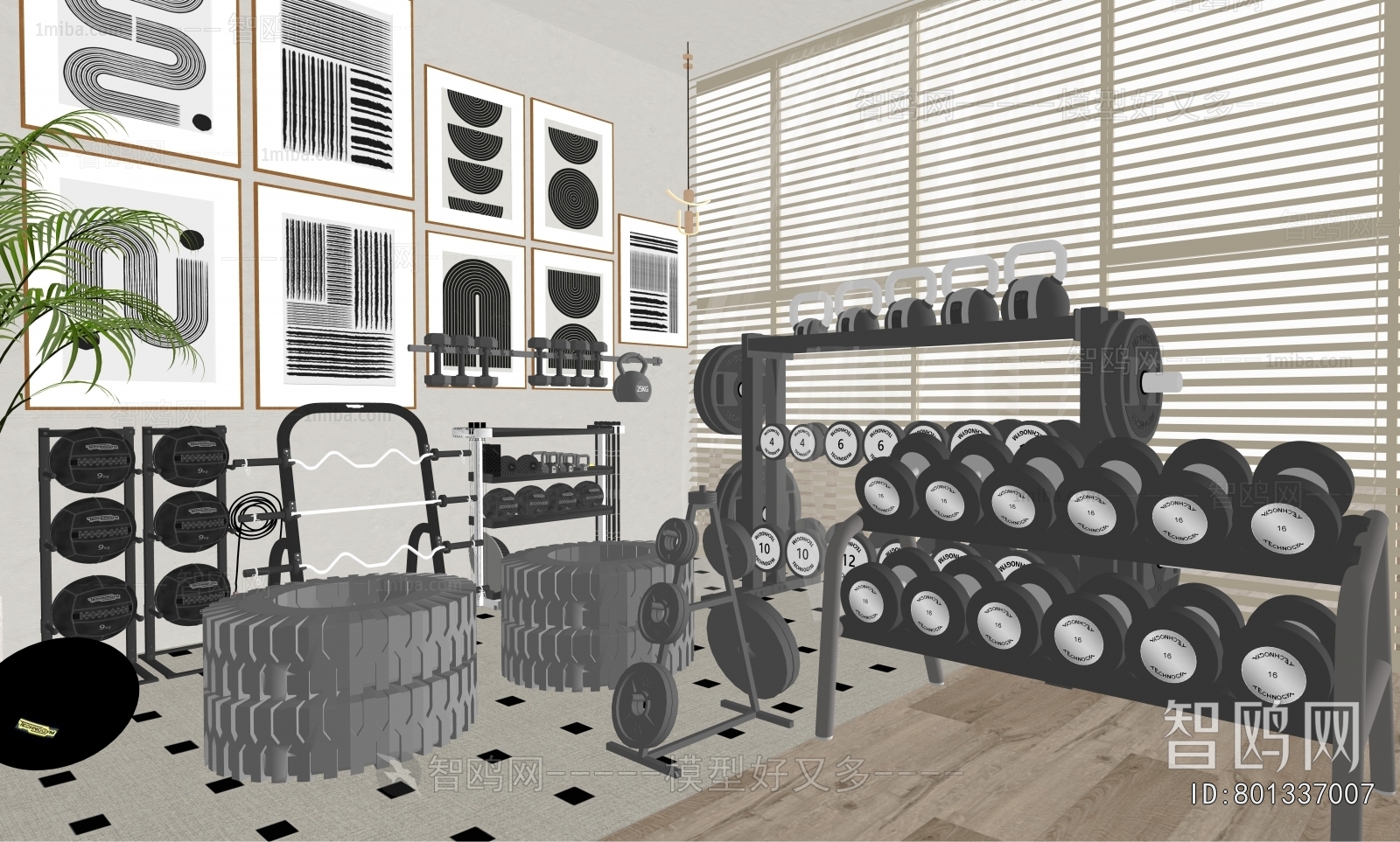 Modern Fitness Equipment