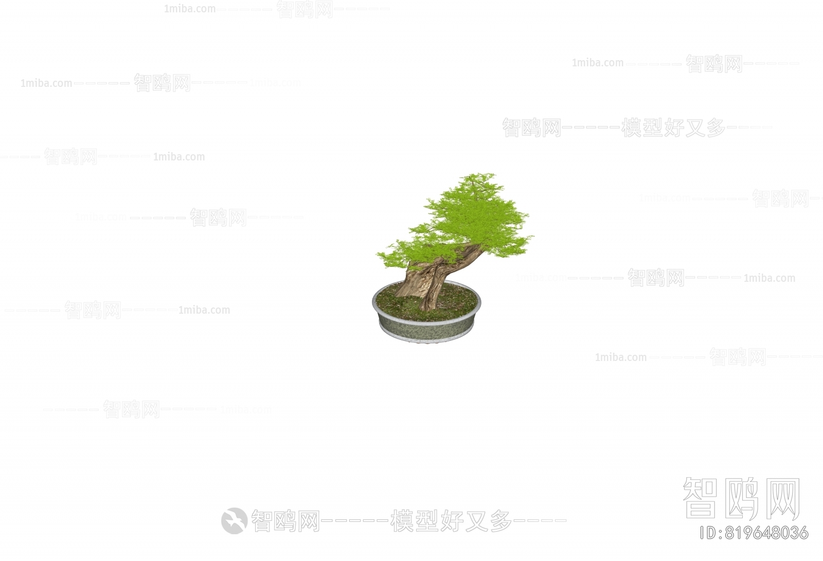 New Chinese Style Bonsai