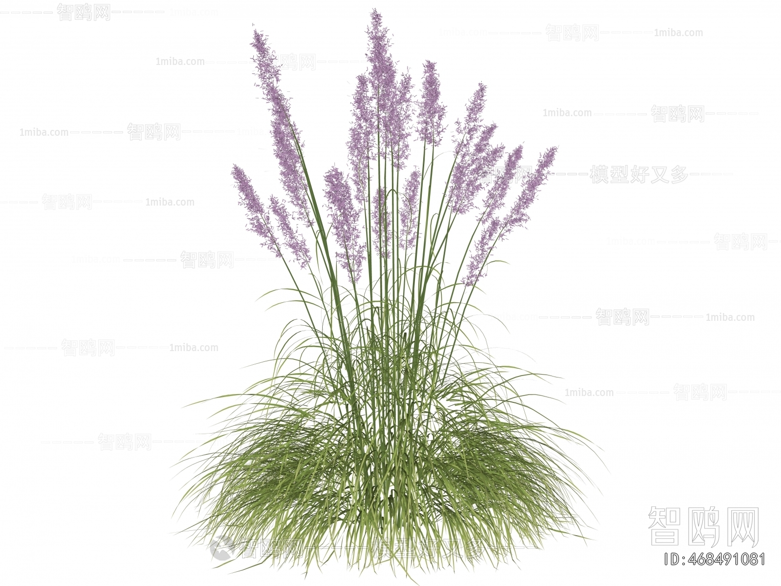 Modern Flowers And Grass