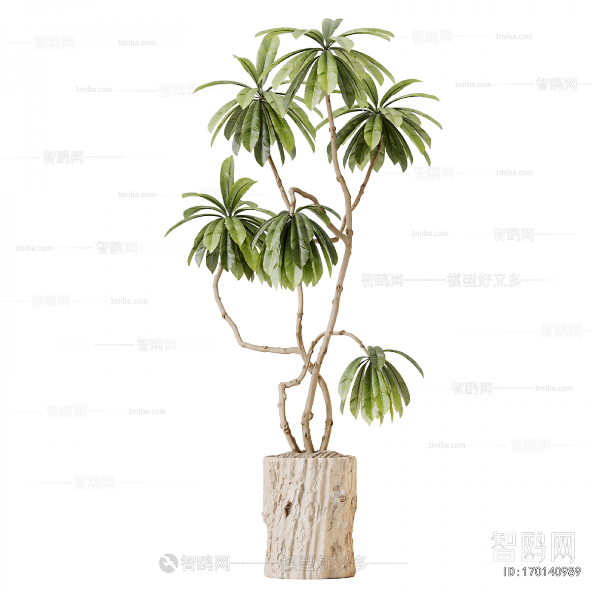 Modern Ground Green Plant Potted Plants