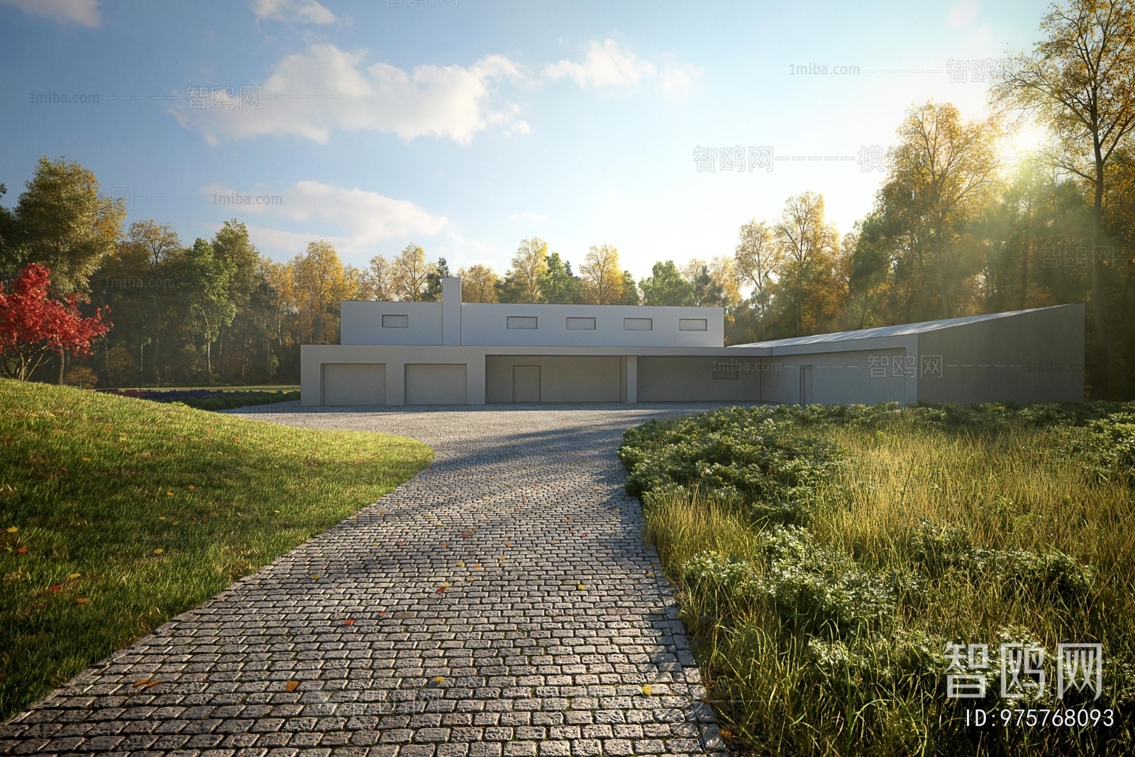 Modern Courtyard/landscape