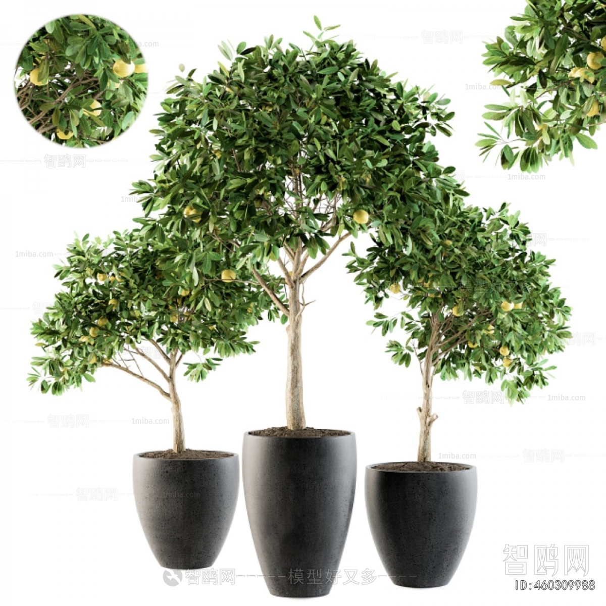 Modern Ground Green Plant Potted Plants