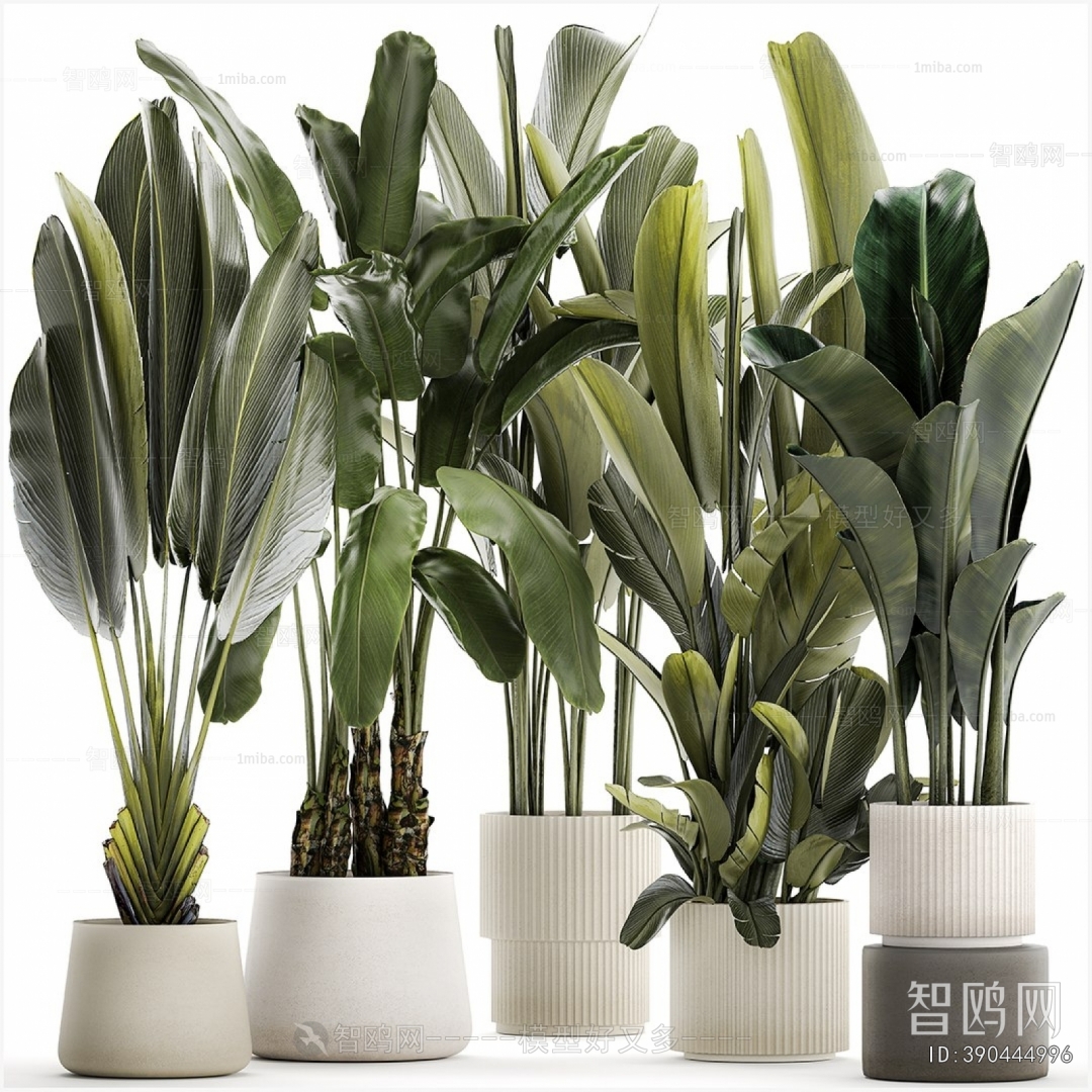 Modern Ground Green Plant Potted Plants