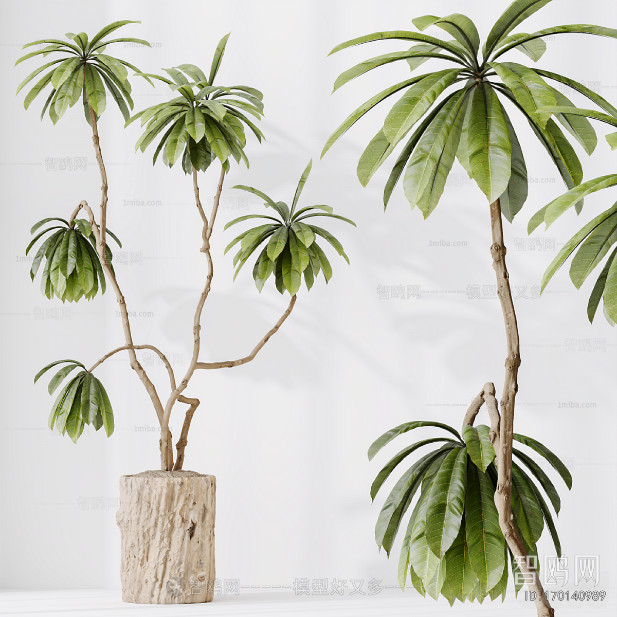 Modern Ground Green Plant Potted Plants