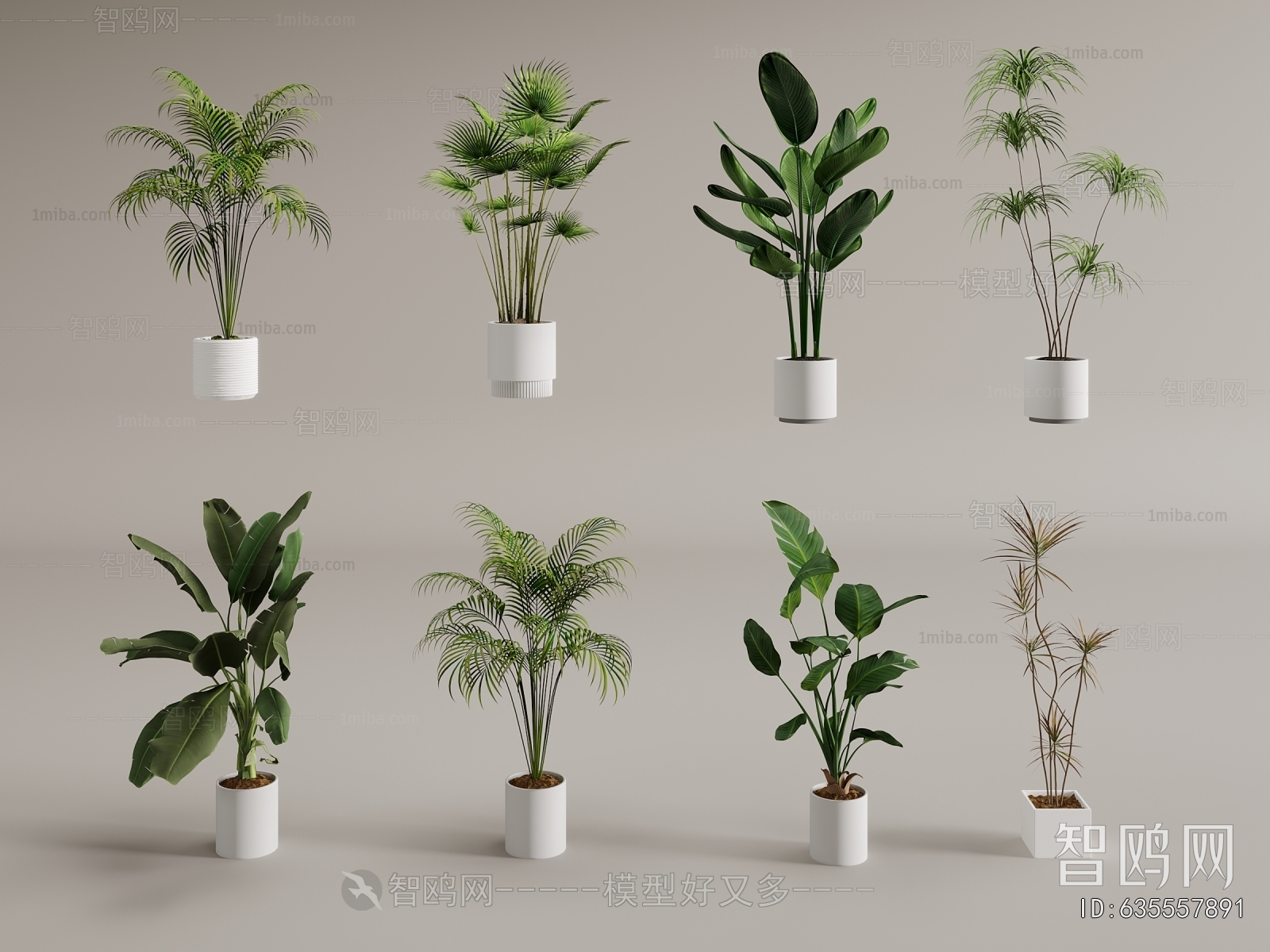 Modern Ground Green Plant Potted Plants