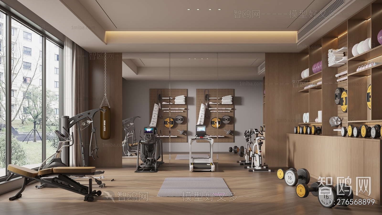 Modern Gym