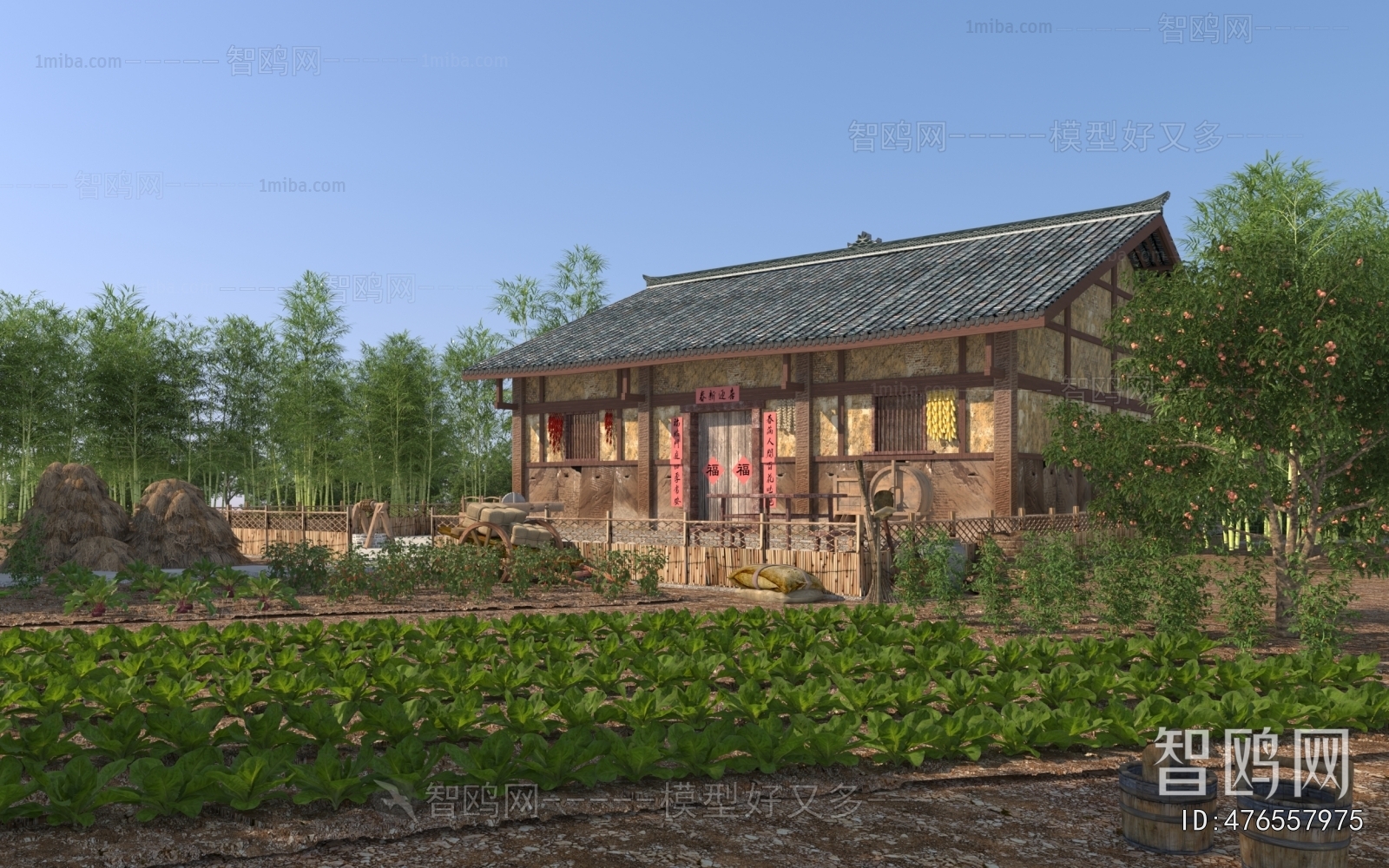 Modern Residential Building