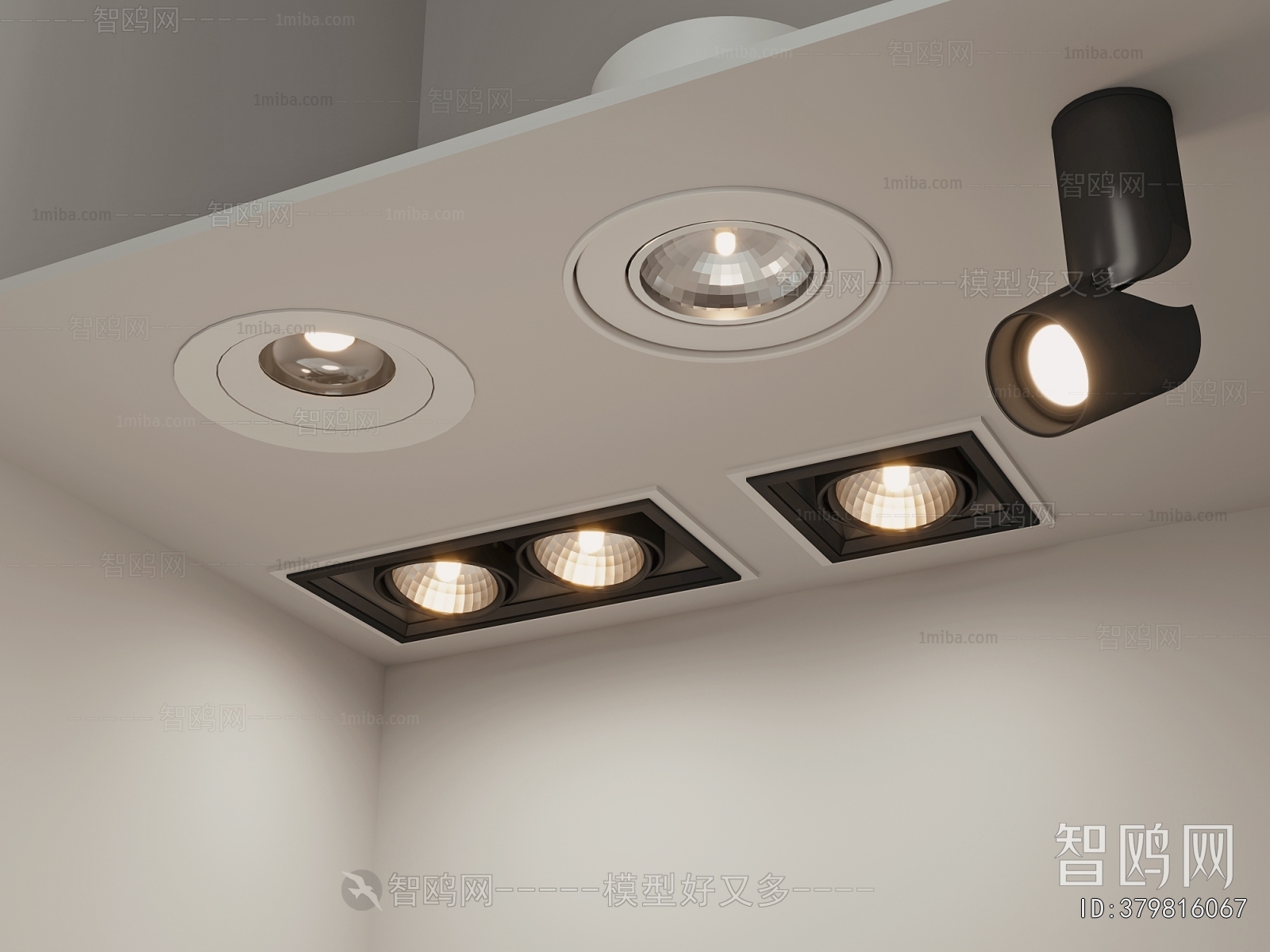 Modern Downlight Spot Light