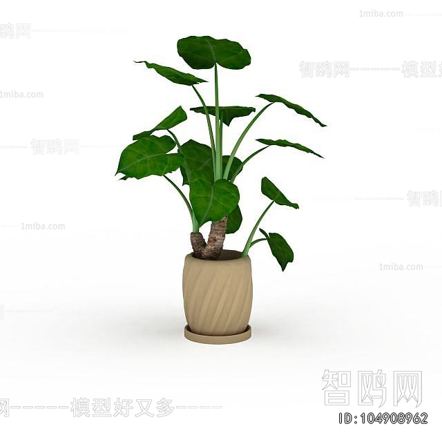 Modern Potted Green Plant