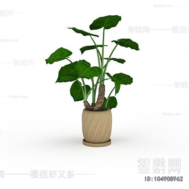 Modern Potted Green Plant