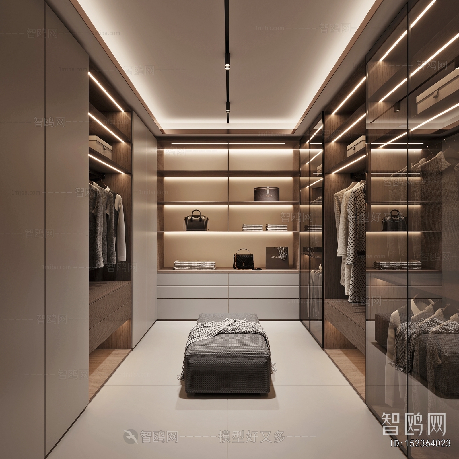 Modern Clothes Storage Area