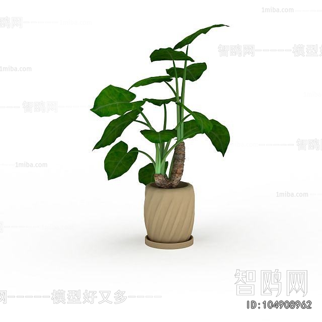 Modern Potted Green Plant