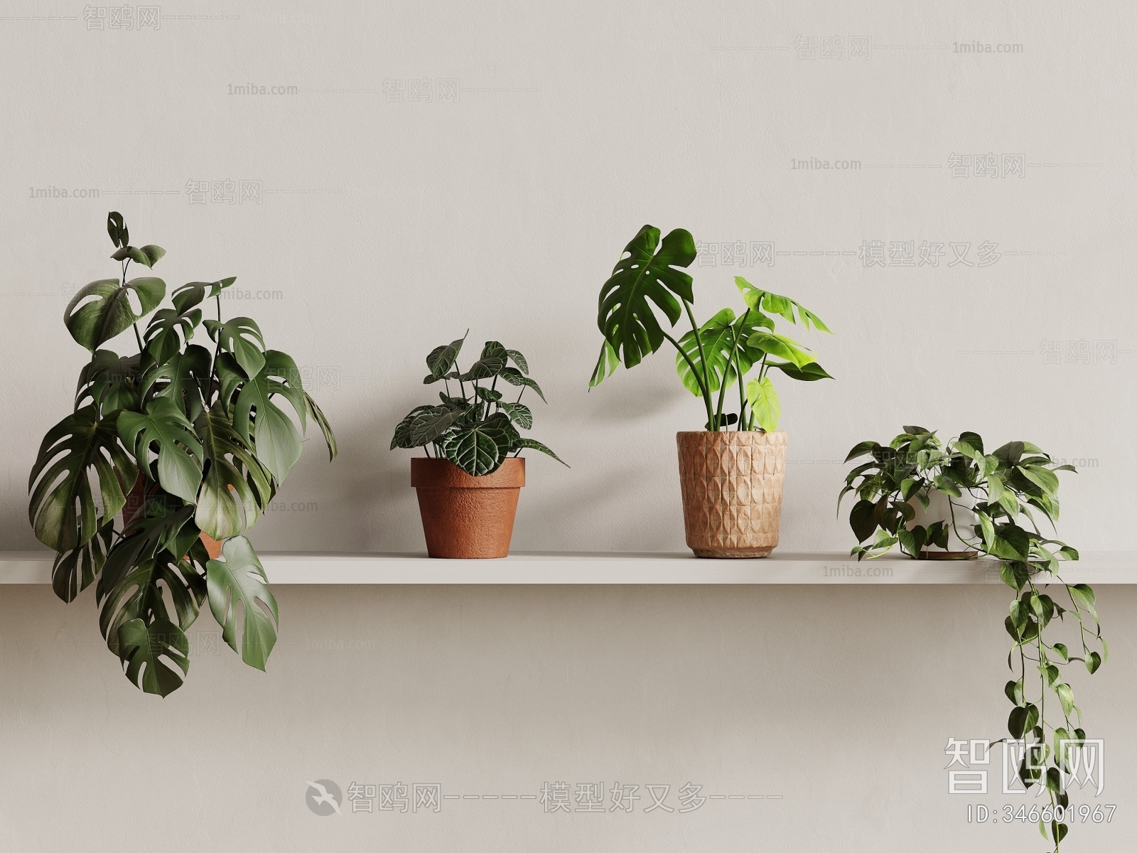 Modern Desktop Plant