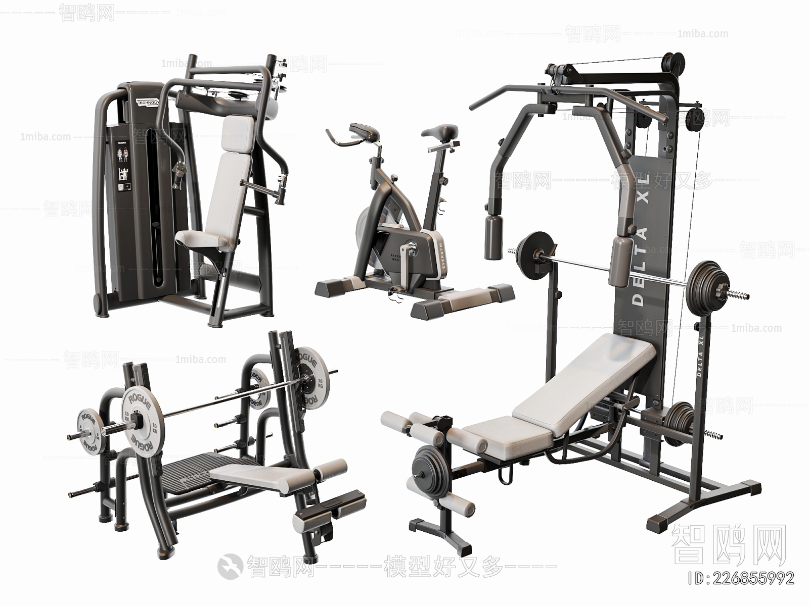 Modern Fitness Equipment