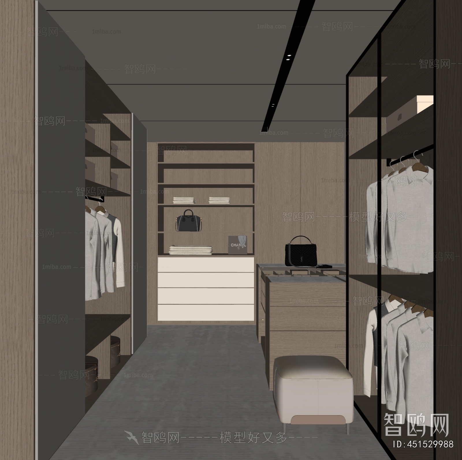 Modern Clothes Storage Area