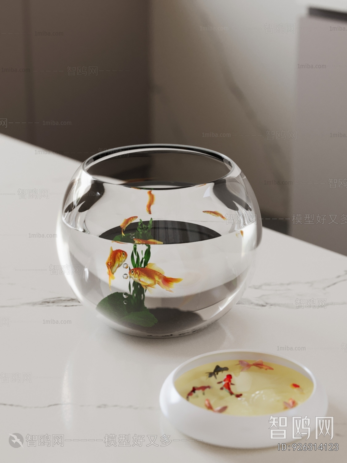 Modern Fish Tank