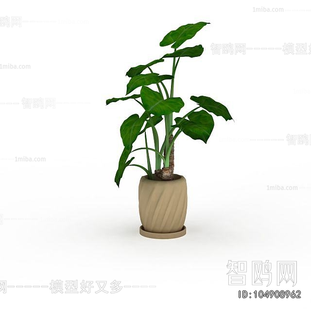 Modern Potted Green Plant