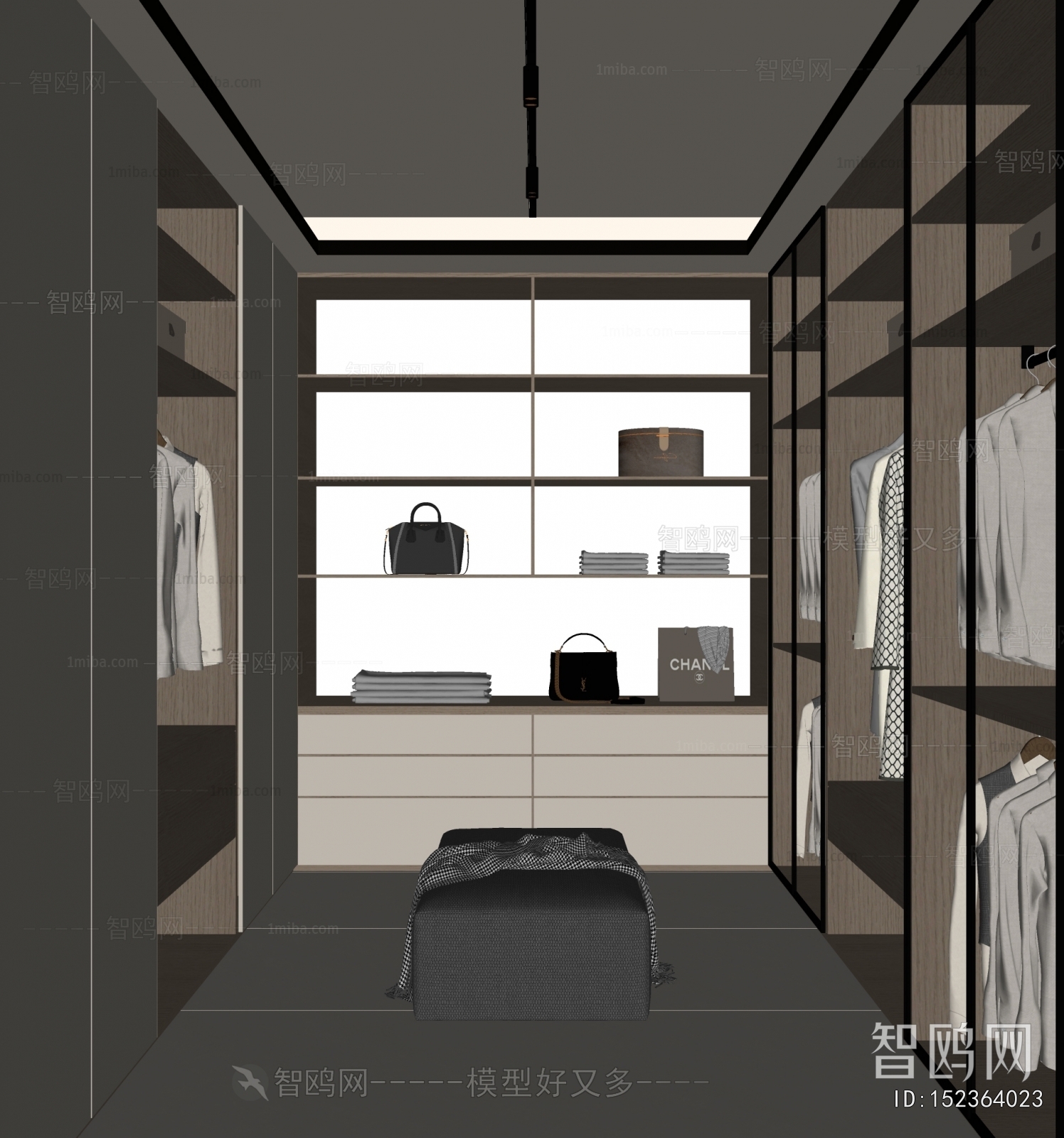 Modern Clothes Storage Area