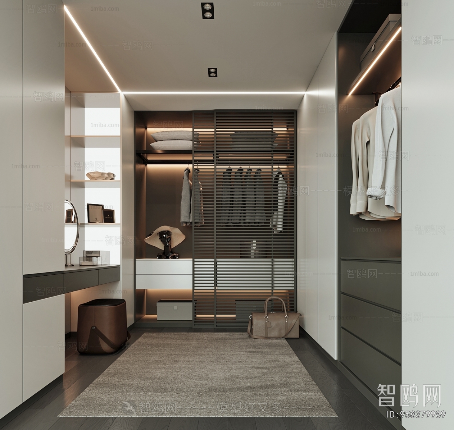 Modern Clothes Storage Area