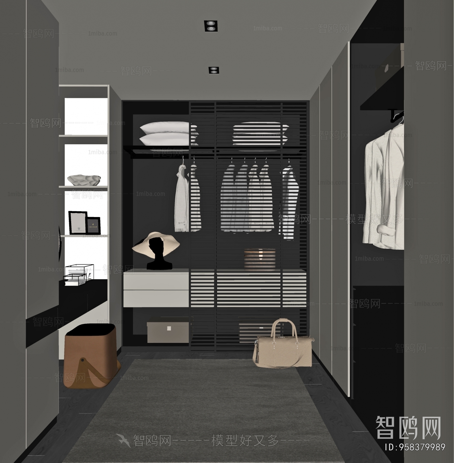 Modern Clothes Storage Area