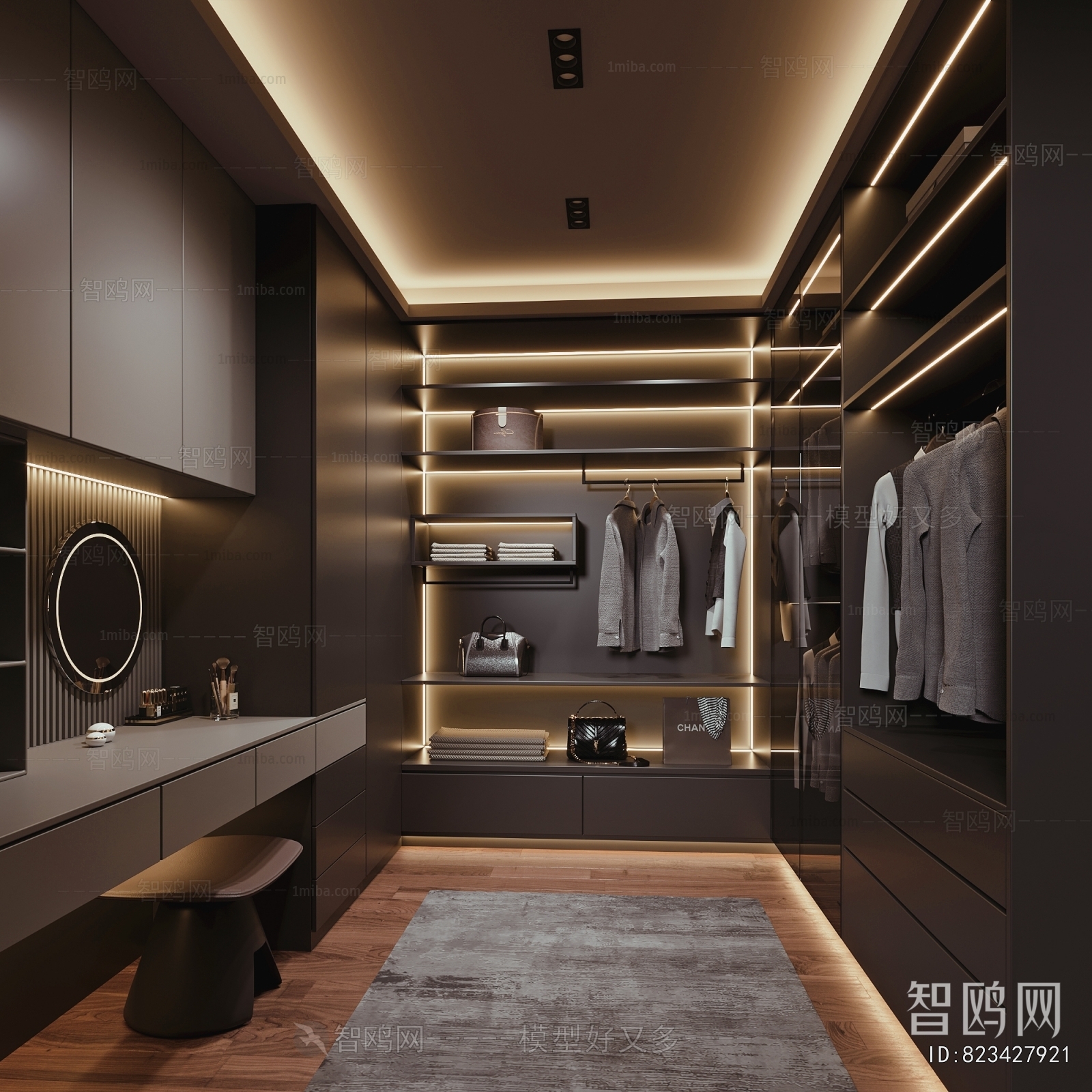 Modern Clothes Storage Area