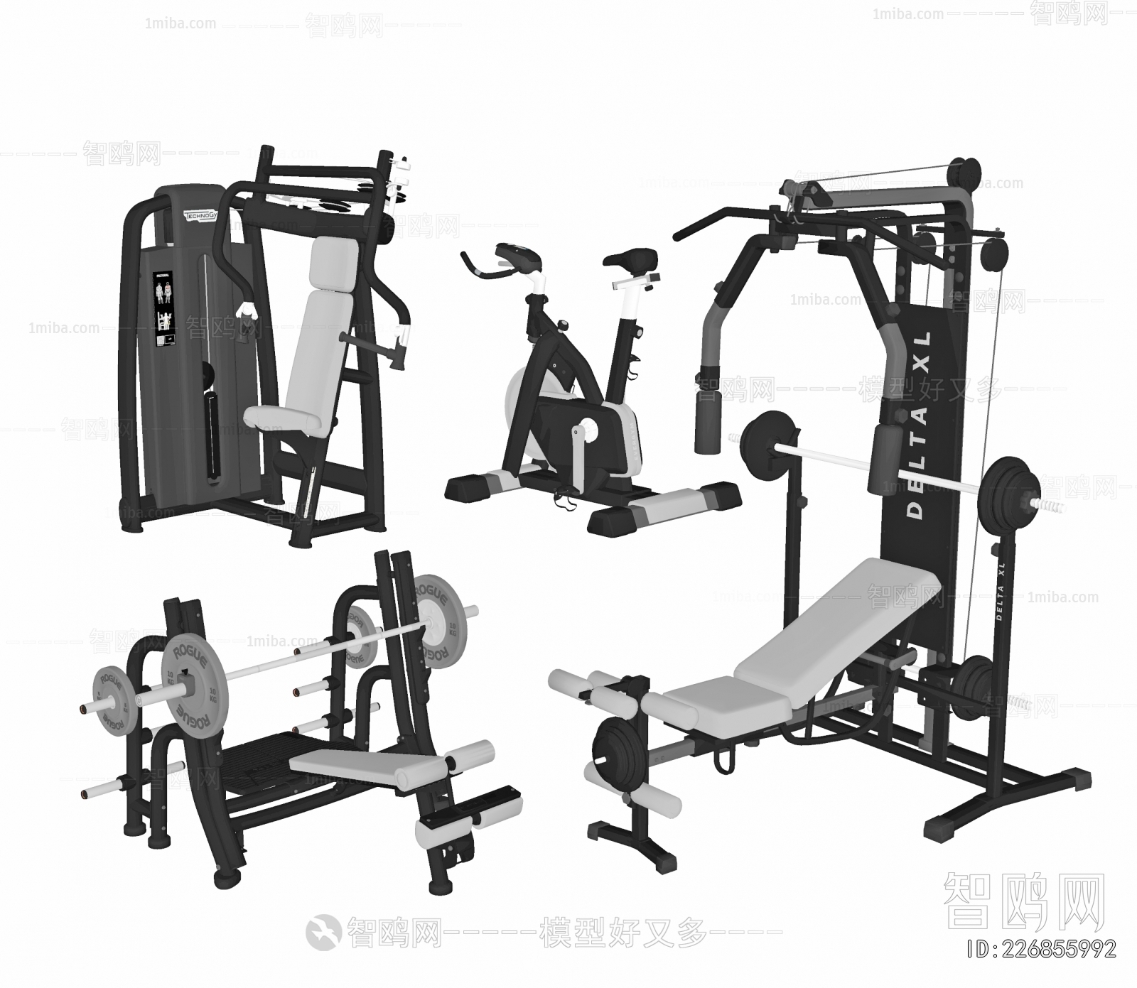 Modern Fitness Equipment