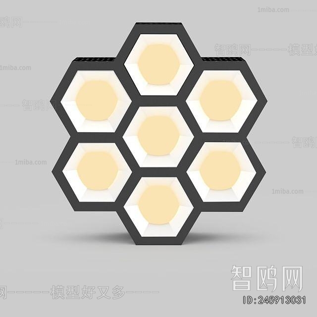 Modern Ceiling Ceiling Lamp