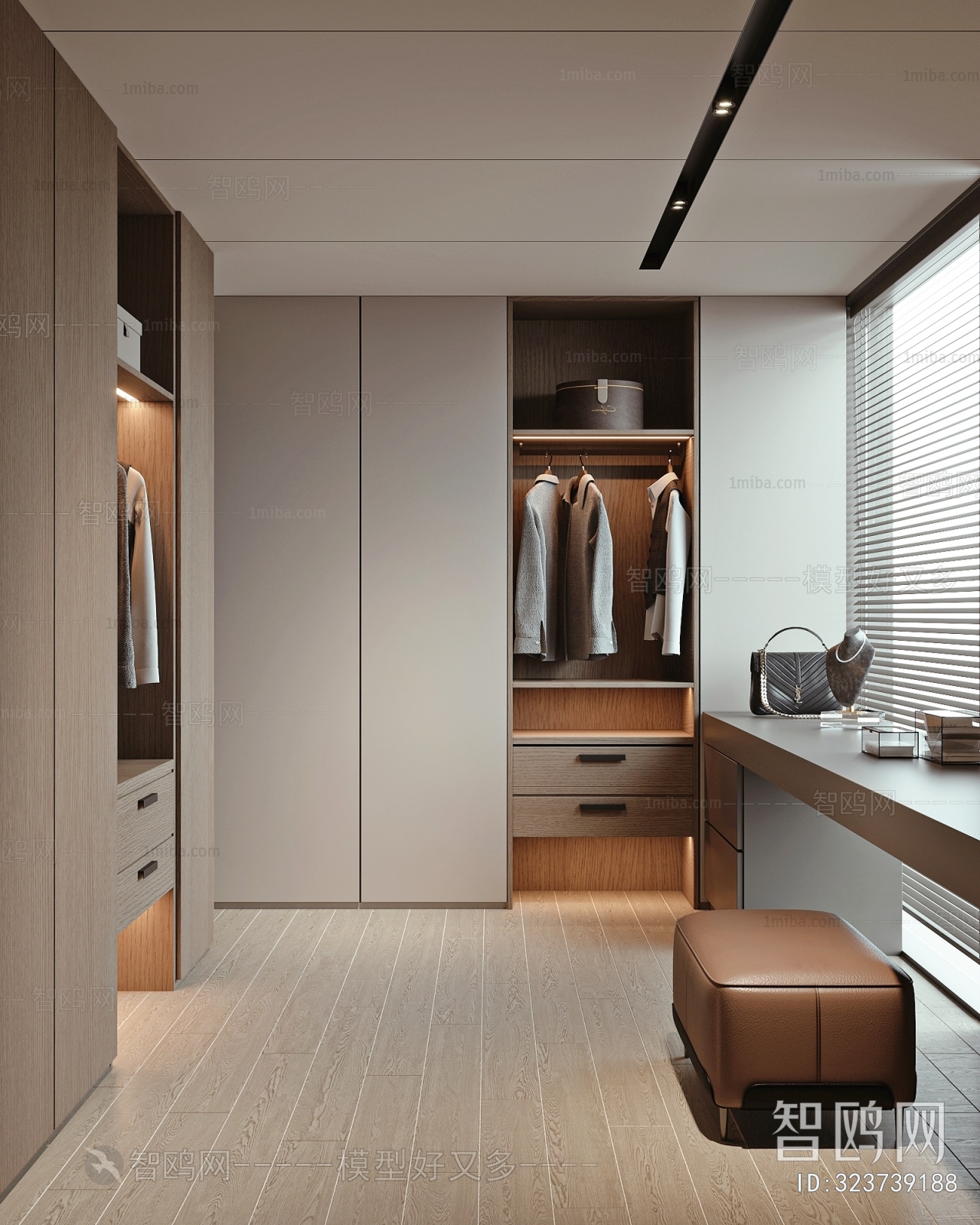 Modern Clothes Storage Area