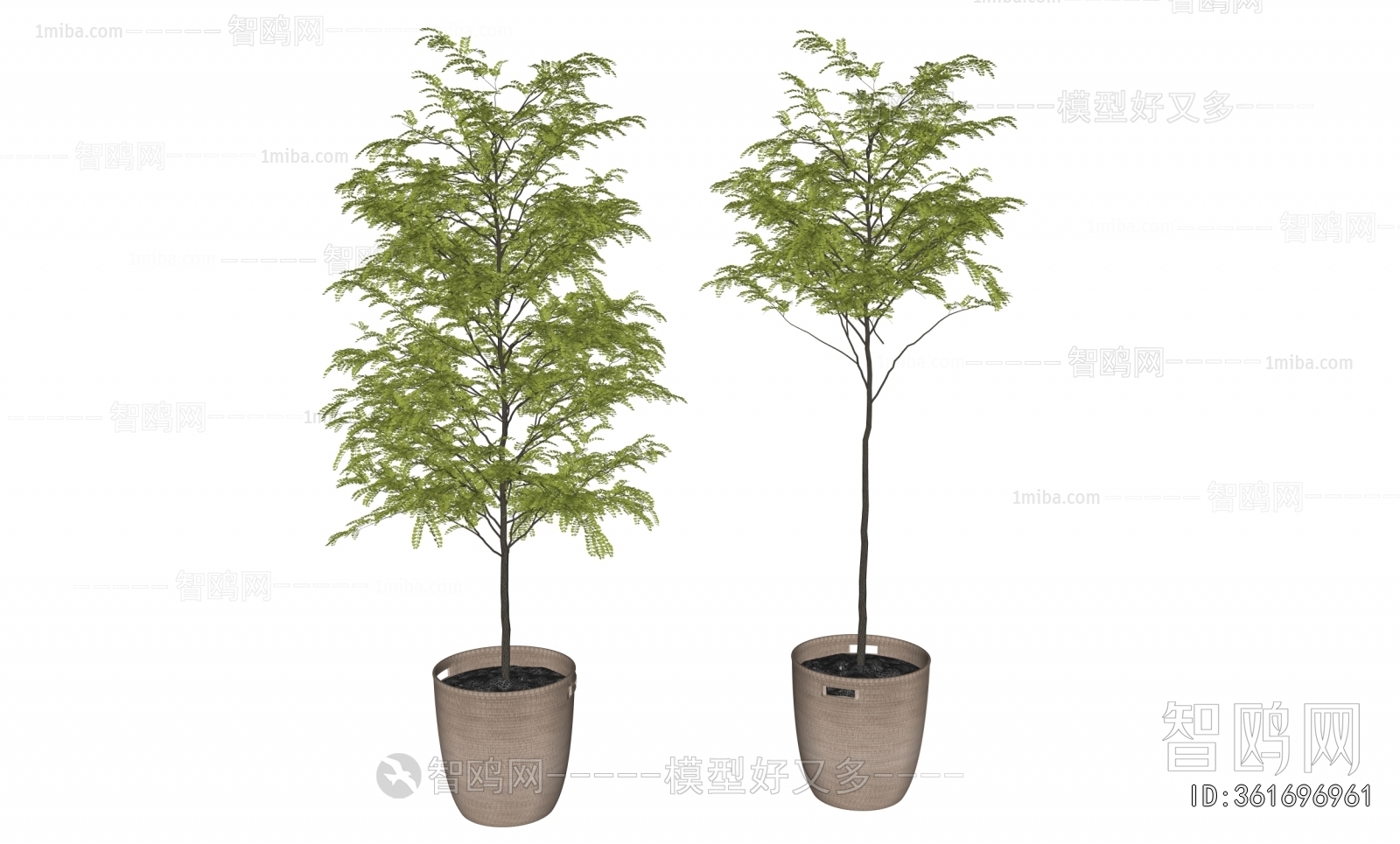 Modern Ground Green Plant Potted Plants