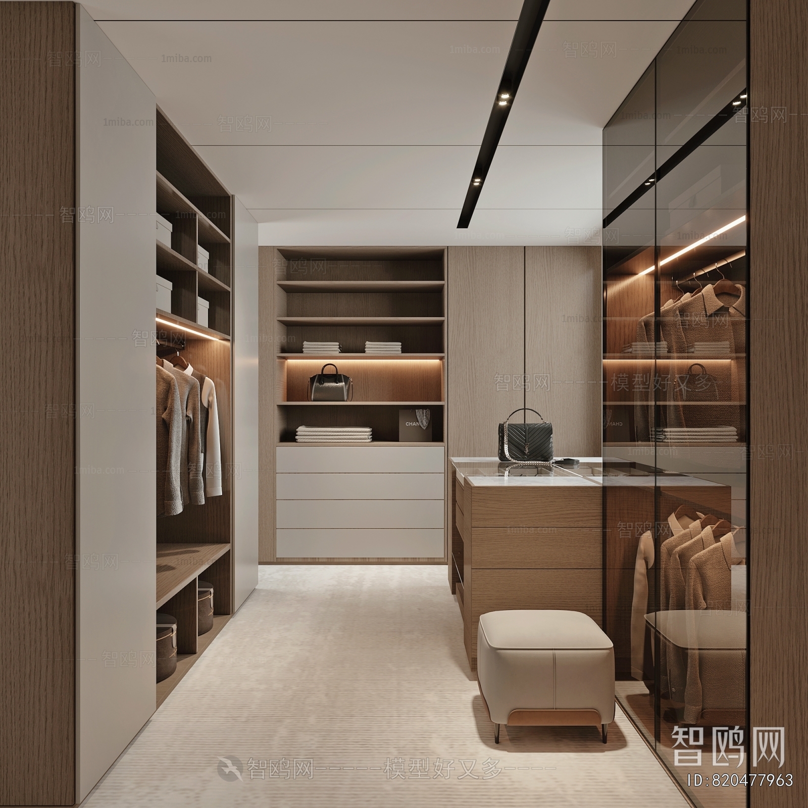 Modern Clothes Storage Area