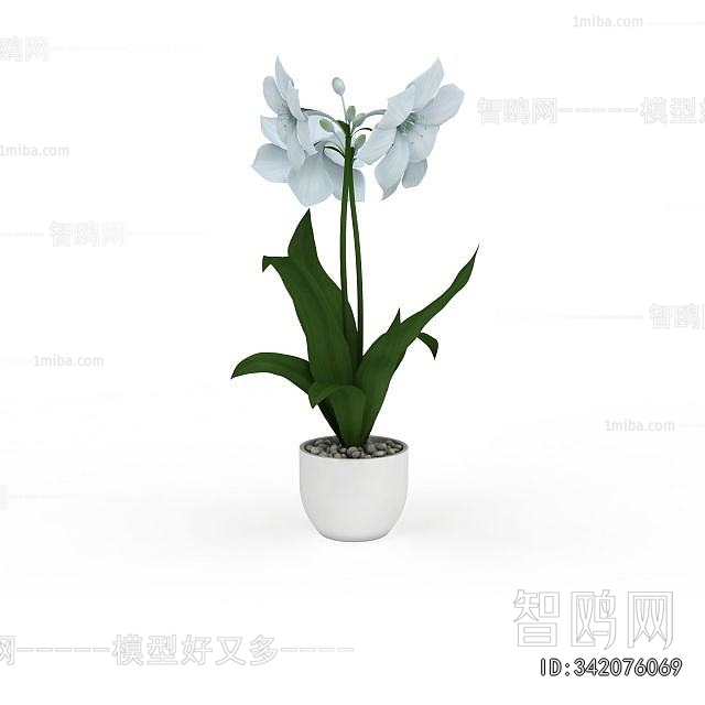 Modern Potted Green Plant